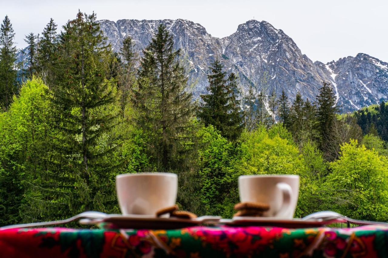 Bialy Mis Apartamenty Art & Design Zakopane Eksteriør billede